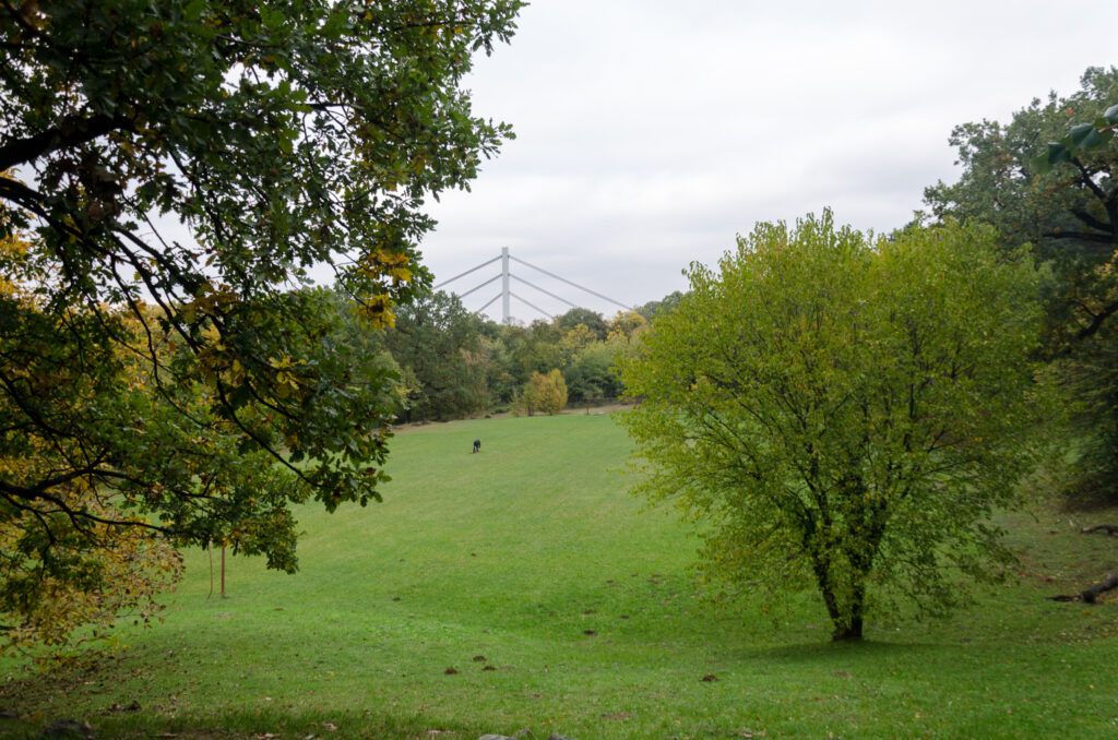 The Kamenicki park