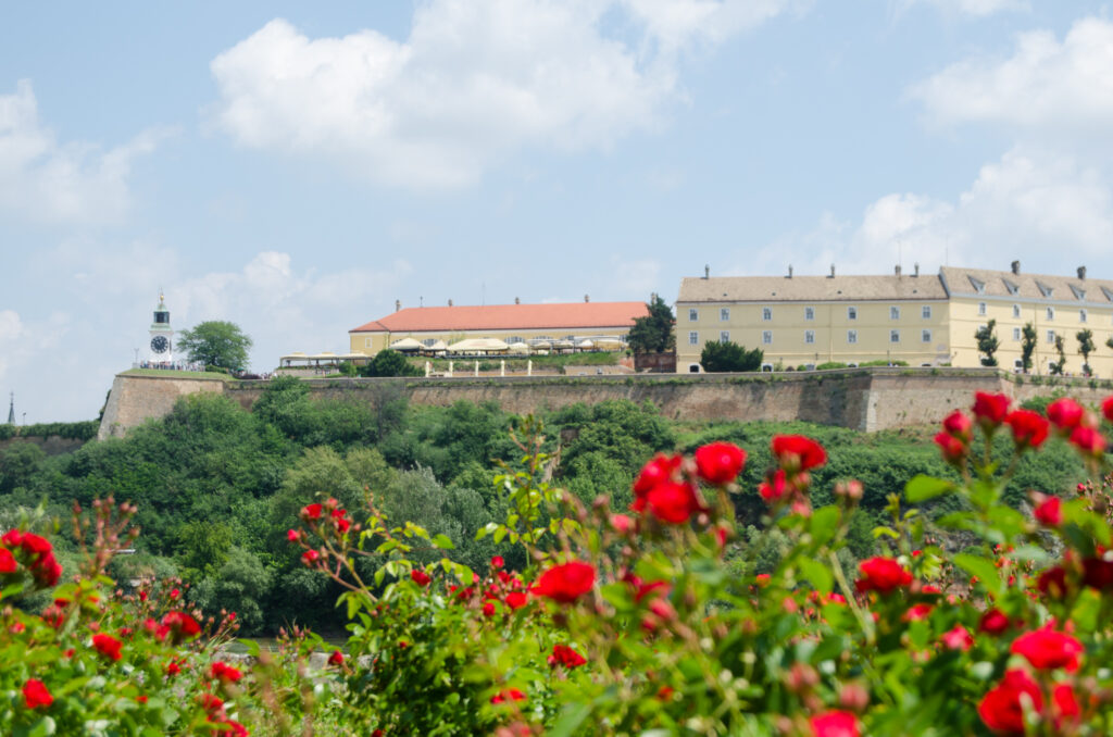 The Petrovaradin fortress
