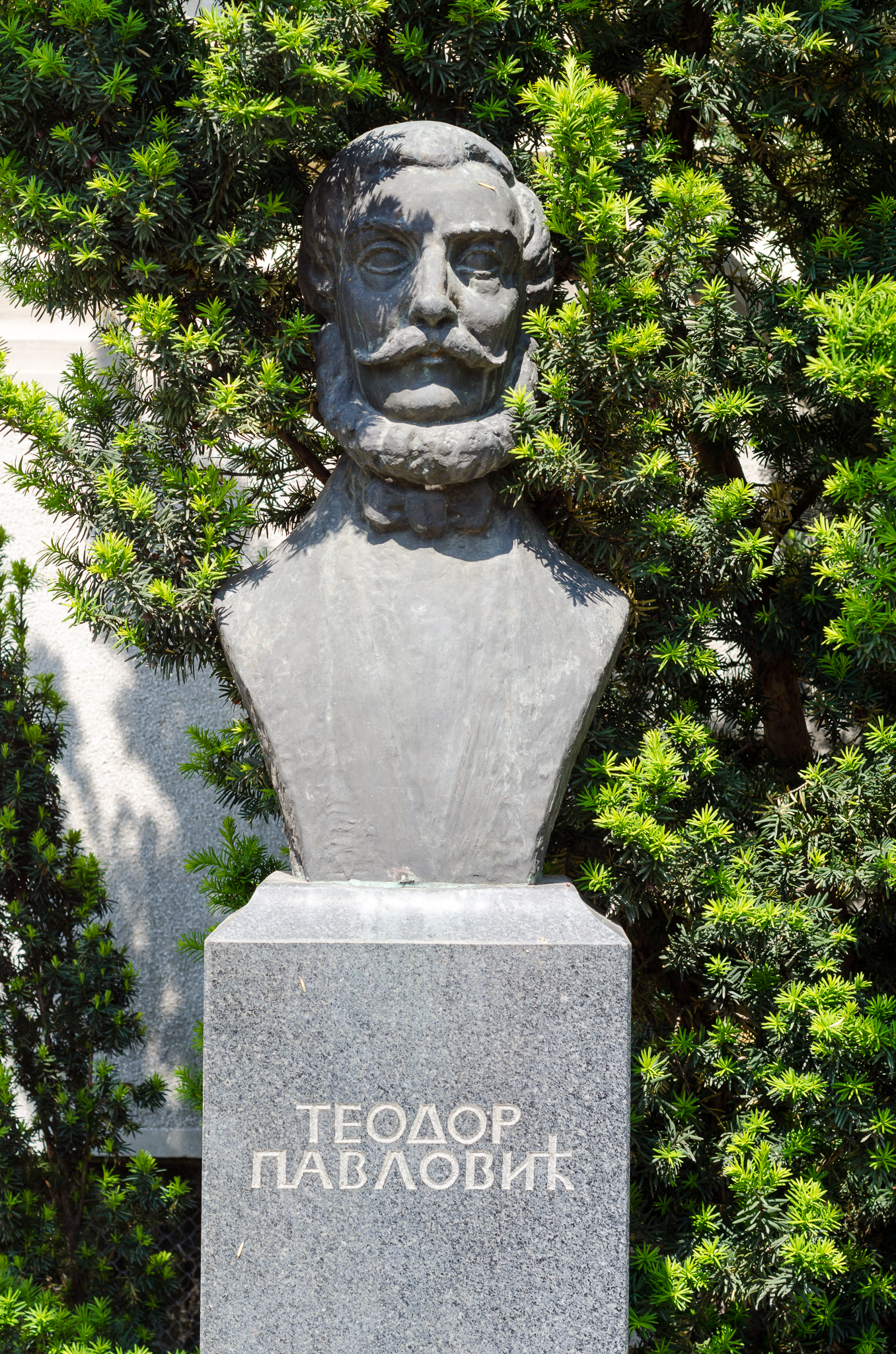 Bista Teodora Pavlovića
